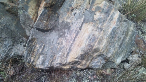 Гигантские зелёные валуны для ландшафтного дизайна весом более 5 тонн купить в Курской области